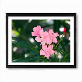 Tropical Pink Flowers Art Print