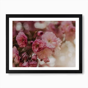 Blossoms Art Print