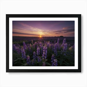 Sunset Over Lavender Field Art Print