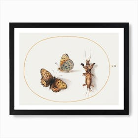 Two Views Of A Butterfly And A Mole Cricket (1575–1580), Joris Hoefnagel Art Print