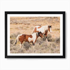 Paint Horses Art Print