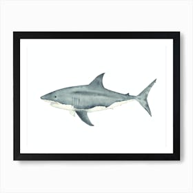 Shark 1 Art Print