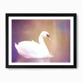 Swan In Water Art Print