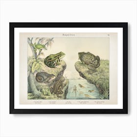 Vintage Schubert 6 Amphibien 7 Art Print