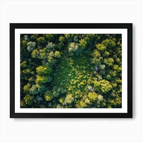 Aerial View Capturing The Vibrant Canvas Of A Lush Green Forest In Springtime Canopy Of Dense Reju 2 1 Art Print