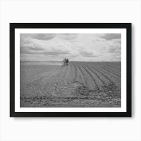 Harrowing An Irrigated Field At Farm Of Ray Halstead, Fsa (Farm Security Administration) Rehabilitation Borrower Art Print