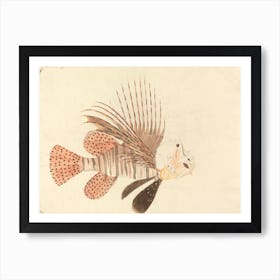 A Fish, Luigi Balugani Art Print