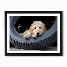 An 1069 Goldendoodle Laying Down In A Large Tire 24x18 Art Print