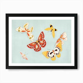 Japanese Butterfly, Cho Senshu 1 Art Print