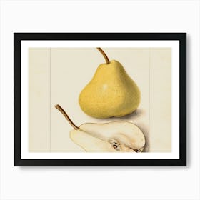 Pears 4 Art Print