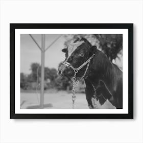 Stuffed Bull In Front Of Gas Station,Minnesota By Russell Lee Art Print