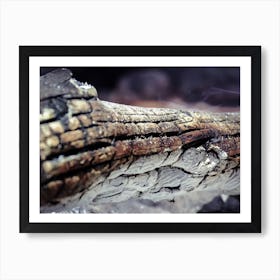 Log Burned In Stones Bonfire 1 Art Print