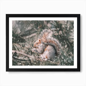 Squirrel In Tree Art Print