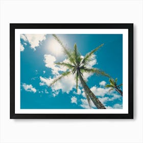 Palm Trees And Blue Sky Art Print