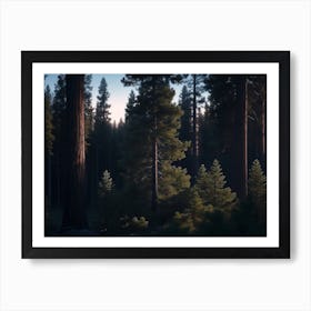 Profound Silence In The Heart Of A Black Pine Forest Art Print