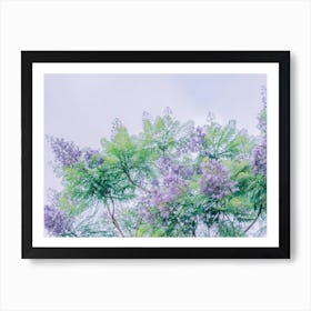 Lilac Tree Art Print