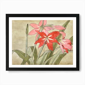 Amaryllis (1915), Hannah Borger Overbeck Art Print