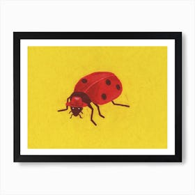 A Little Ladybird With A Little Stetson Art Print