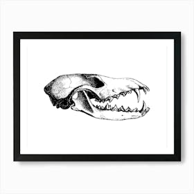 Animal skull 1 Art Print