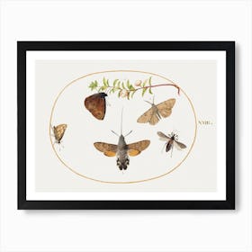 Hawk Moth, Butterflies, And Other Insects Around A Snowberry Sprig (1575–1580), Joris Hoefnagel Art Print
