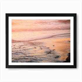 Birds On The Beach At Sunset Art Print