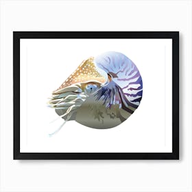 Nautilus Art Print