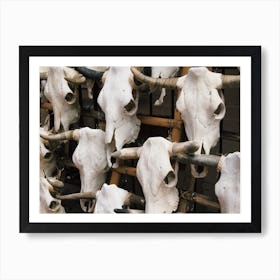 Cow Skulls Art Print