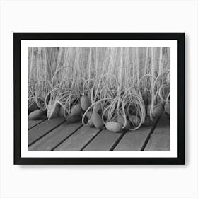 Floats On Nets Used In Salmon Fishing, Astoria, Oregon By Russell Lee Art Print