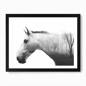 Forest Horse Art Print