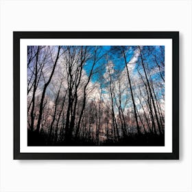 Winter Tree Park Sky Nature 1 Art Print