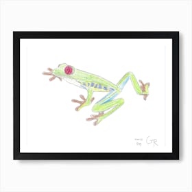 Tree Frog Art Print