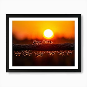 Ant Colony Cooperating Harmoniously Silhouetted Against A Radiant Sunset Amber And Crimson Hues Me 2 1 Art Print