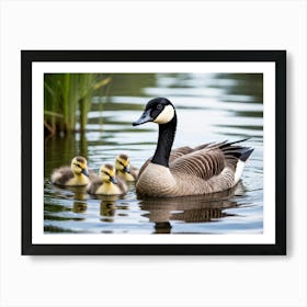 Canadian Geese 2 Art Print