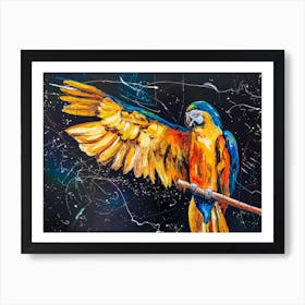 Freedom For Parrots Art Print