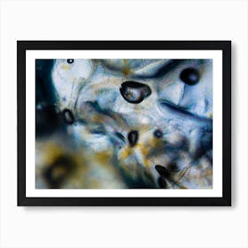 Liquid Under The Microscope Abstract Textures And Colors Art Print