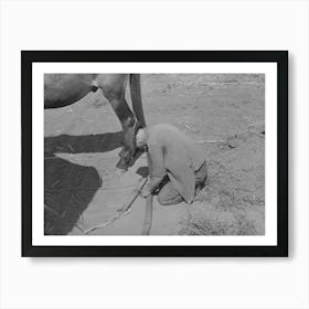 Son Of Tenant Farmer Hooking Up For Field Work Near Muskogee, Oklahoma, Refer To General Caption Number 20 By Russ Art Print