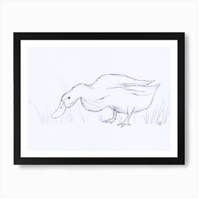 Duck Eating Grass drawing minimal sketch pencil graphite white paper bird farm kitchen living room hand drawn Art Print