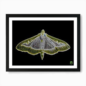 Transparent Butterfly 20180825 19rt5pub Art Print