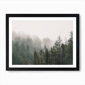 Oregon Forest Scenery Art Print