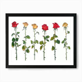 Roses Art Print