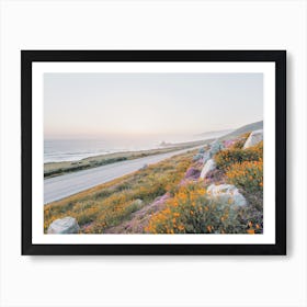 Beach Highway Wildflowers Art Print