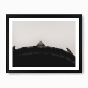 Frog (the Fountain of the Frogs. Italian: Fontana delle Rane) is located in the center of Piazza Mincio, in the Coppedè district. Сreated by Gino Coppedè). Roma Narrative series by Michael Banifatov. Art Print