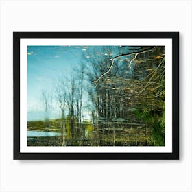 Tree Line Reflections 3 Art Print