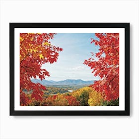 Autumn Foliage Comes Alive In This Design Leaves Flaunting A Riot Of Colors Including Crimson Verm Art Print