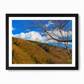 Birch Trees In The Mountains 20230415171927pub Art Print