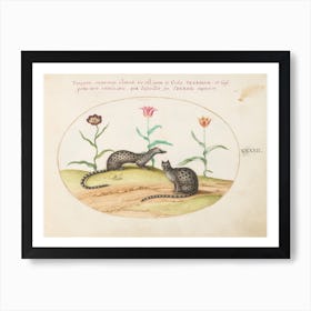 Quadervpedia Animals And Reptiles, Joris Hoefnagel (13) Art Print
