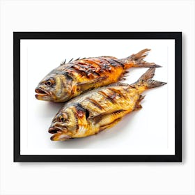 Two Grilled Fish On White Background Poster