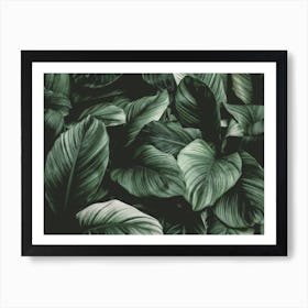 Dark Green Leaf Art Print