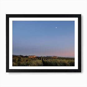 Sunset Skies In Tuscan Vineyards Art Print