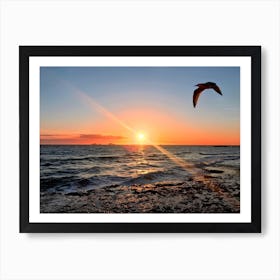 Seagull Flying Over The Ocean At Sunset in Ibiza (Spain Series) Art Print